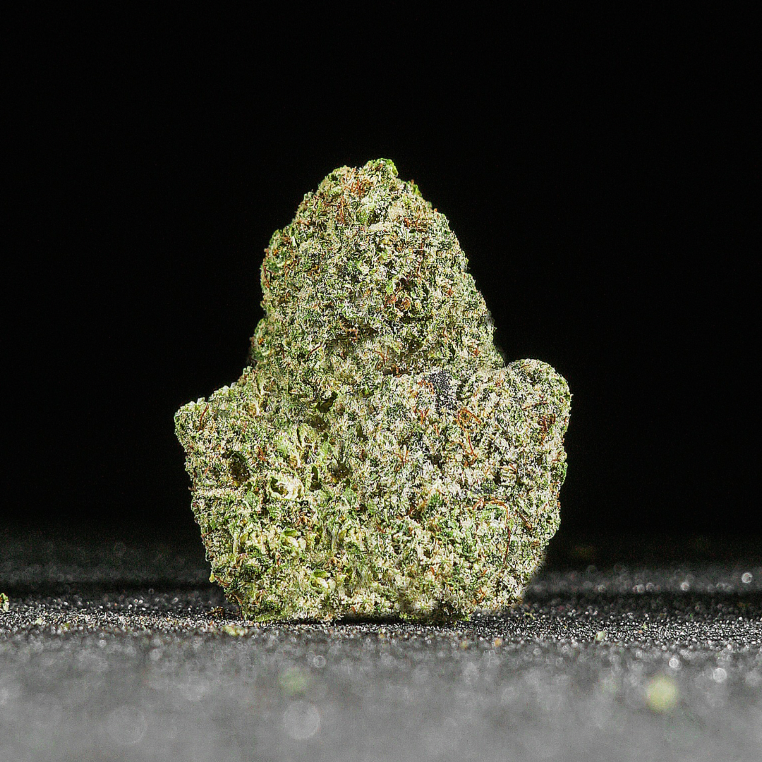 Bubblegum Black Edition