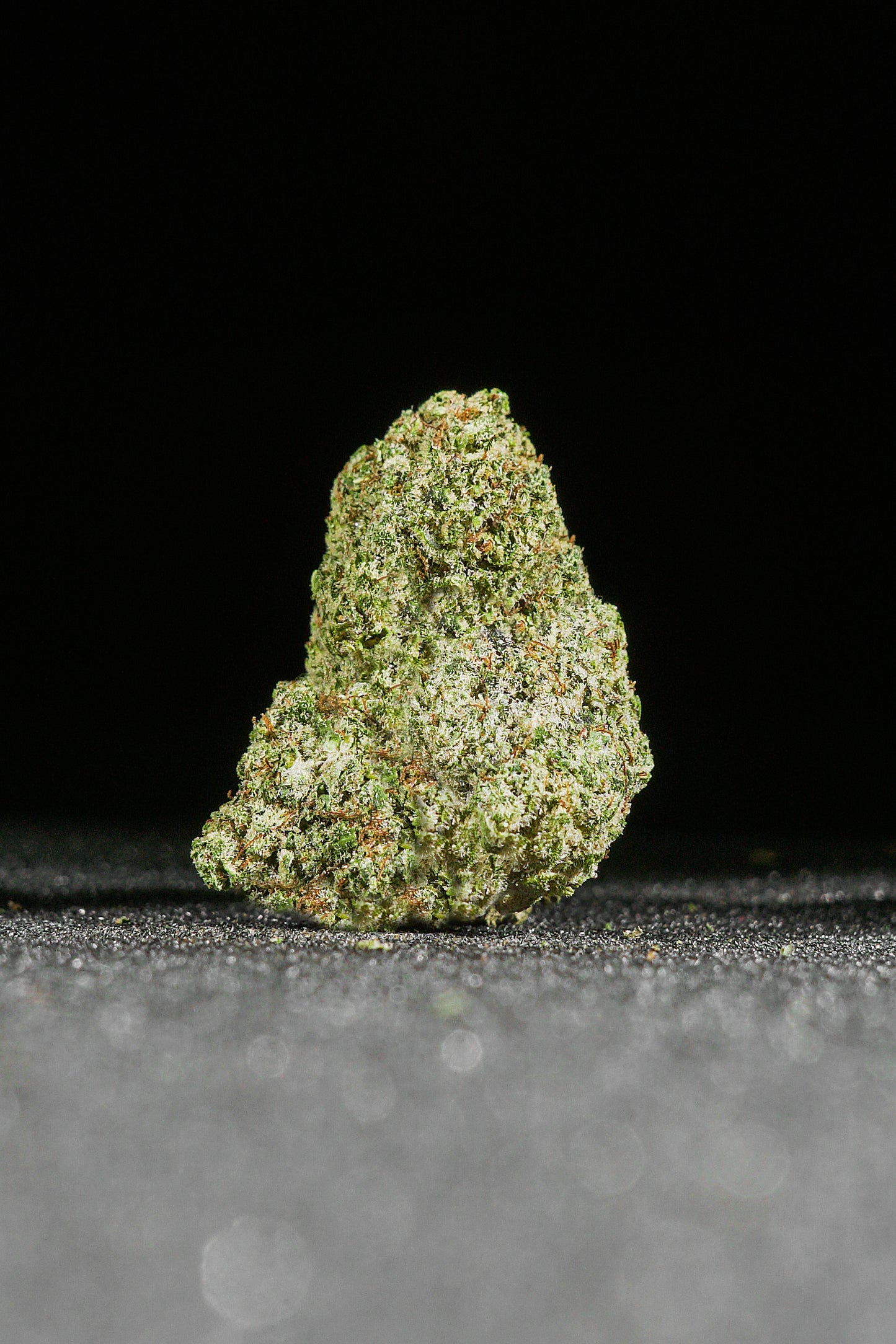 Bubblegum Black Edition