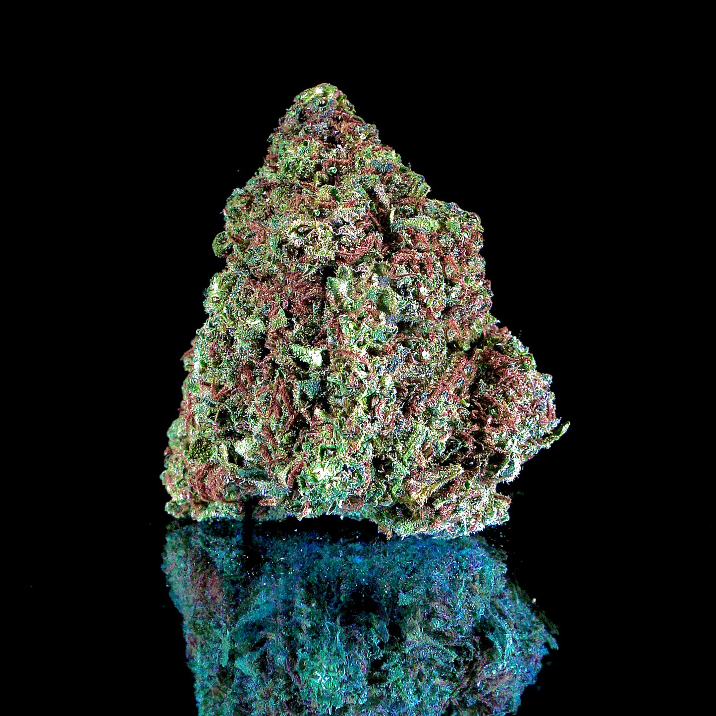 Lemon Cake White Edition