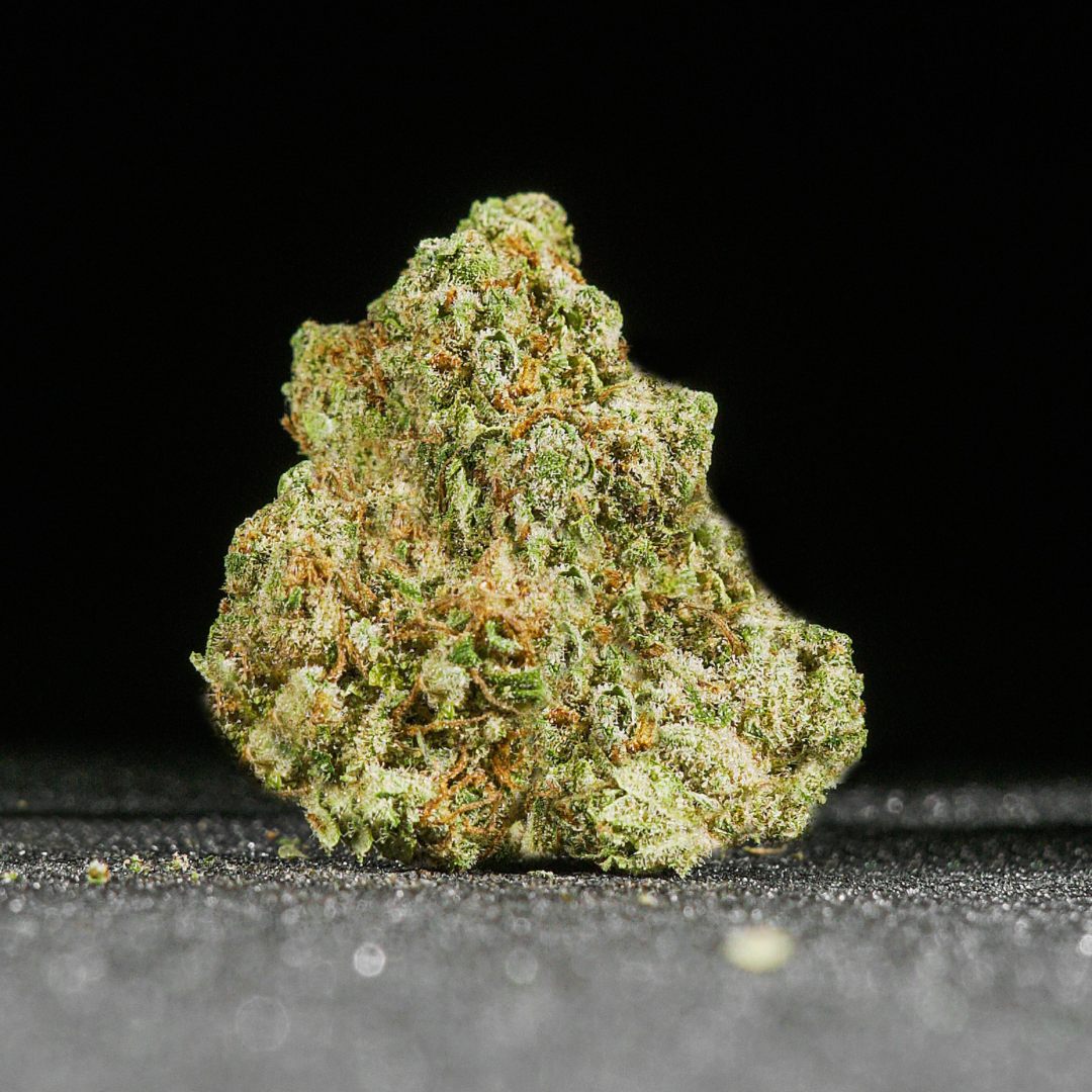 Critical + White Edition