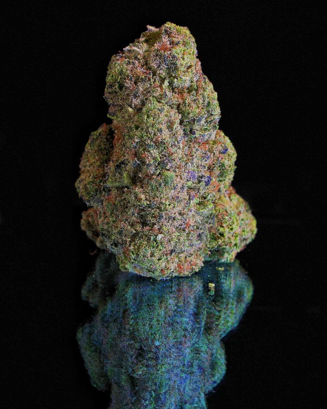 La Colombiana Pequeñitos Hidro