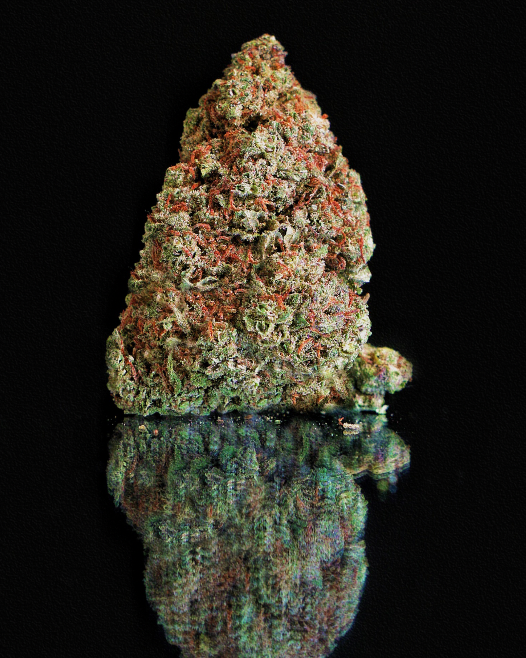 Og Kush Pequeñitos Hidro