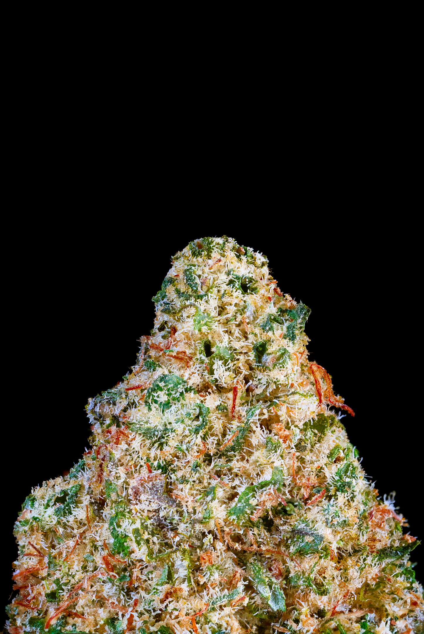 Bcn Diesel