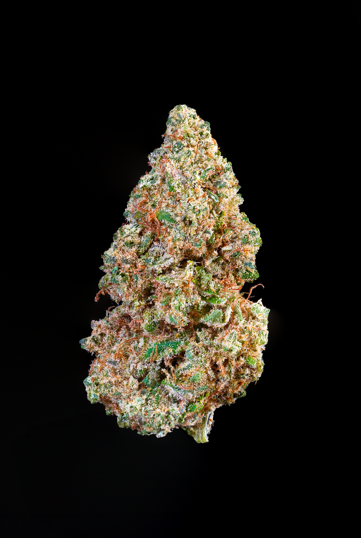 Bcn Diesel
