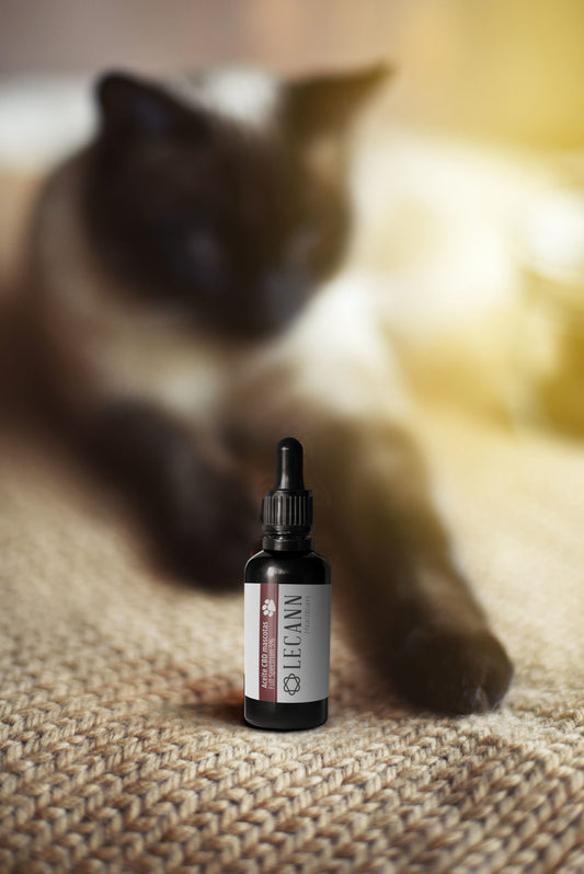 Aceite de CBD 5% para MASCOTAS - (10ML - 250 gotas) Full Spectrum