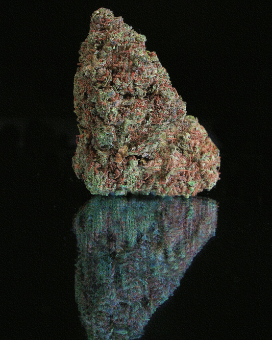 Golden Fruit Pequeñitos Hidro