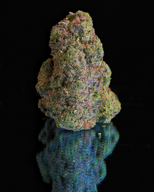 La Colombiana Pequeñitos Hidro