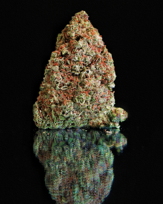 Og Kush Pequeñitos Hidro