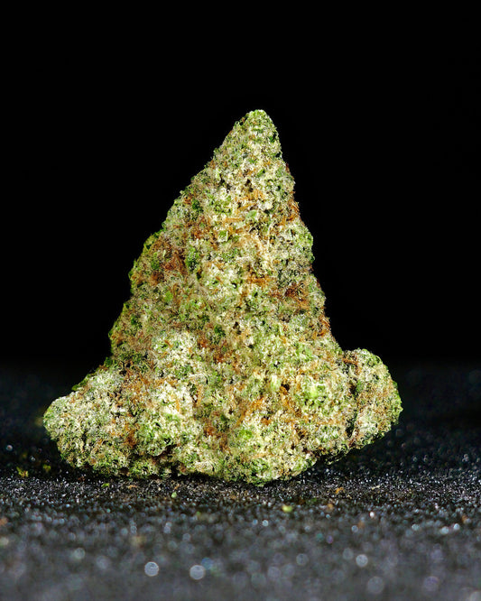 Forbidden Pequeñitos Hidro